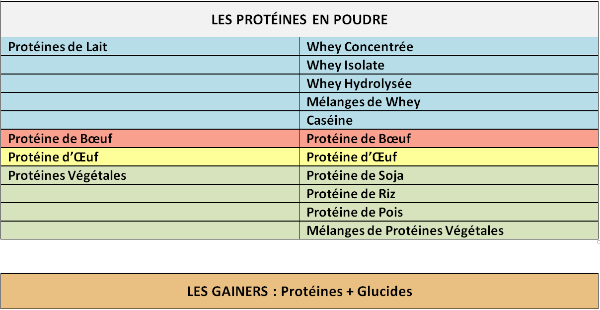 Liste des protéines en poudre